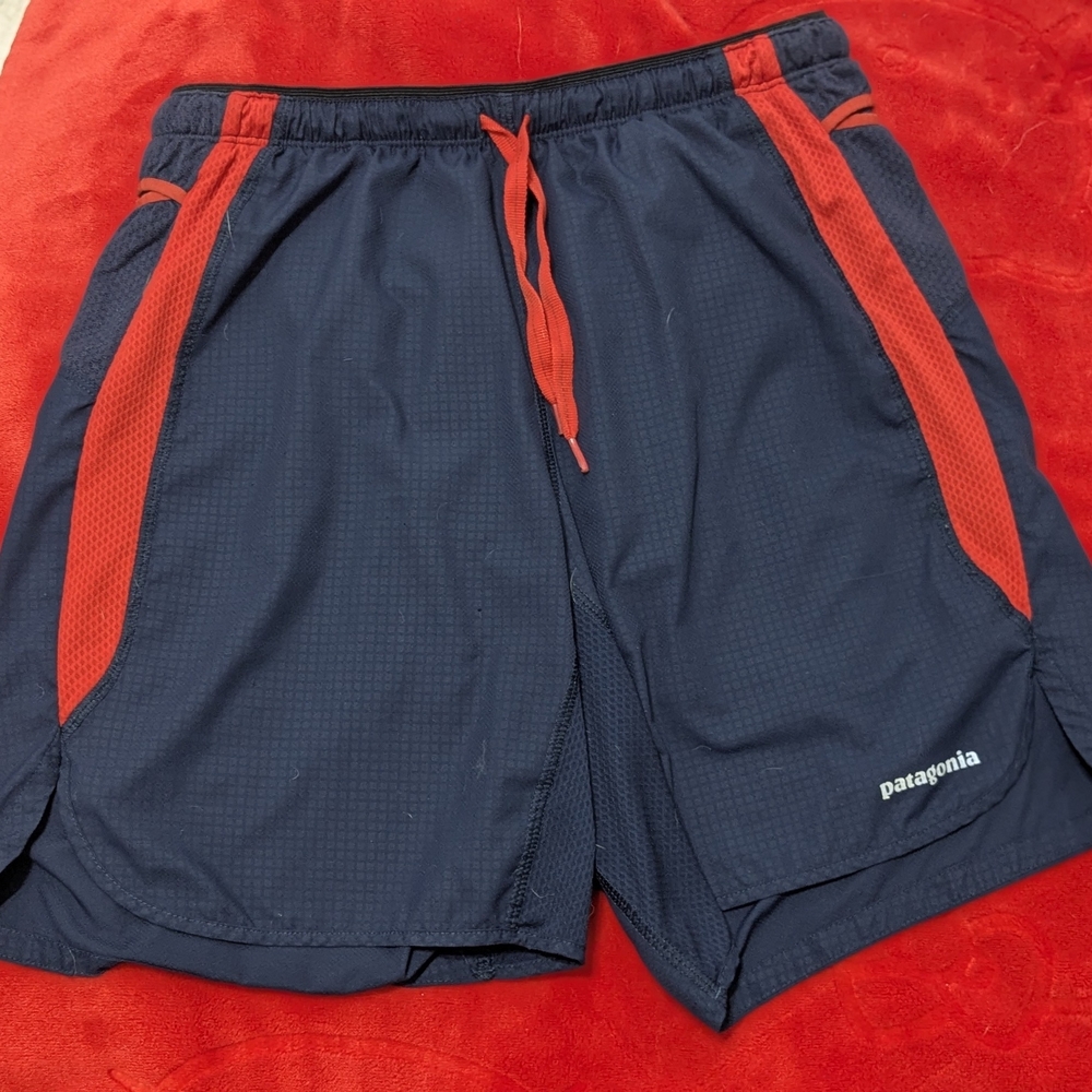 Patagonia Men's Navy and Red Shorts